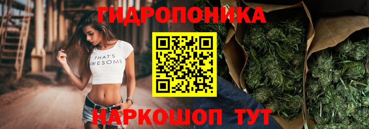 Бошки марихуана OG Kush Краснокамск
